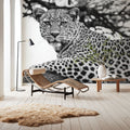 Lounging Leopard Neutral Mural Wallpaper - room preview 04