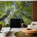 Unsuikyo Treetops Mural Wallpaper - room preview 04