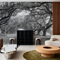 Oak Alley Mural Wallpaper - room preview 04