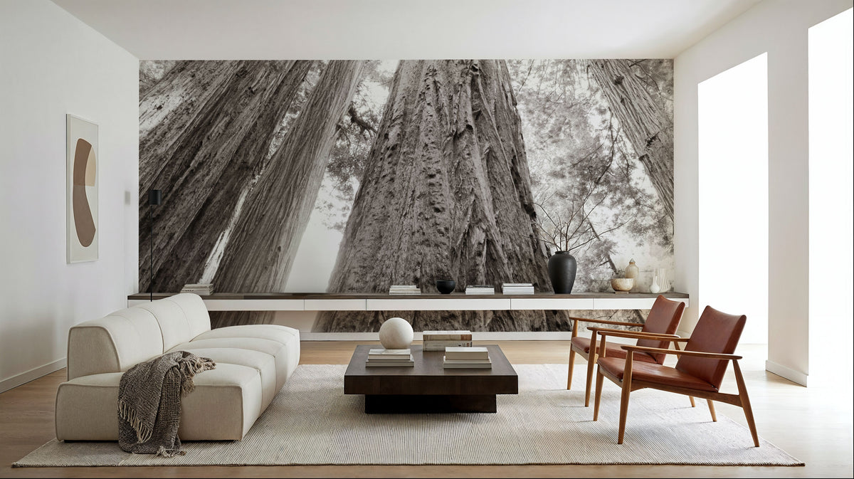 Ancient Redwood Forest Mural Wallpaper - room preview 04