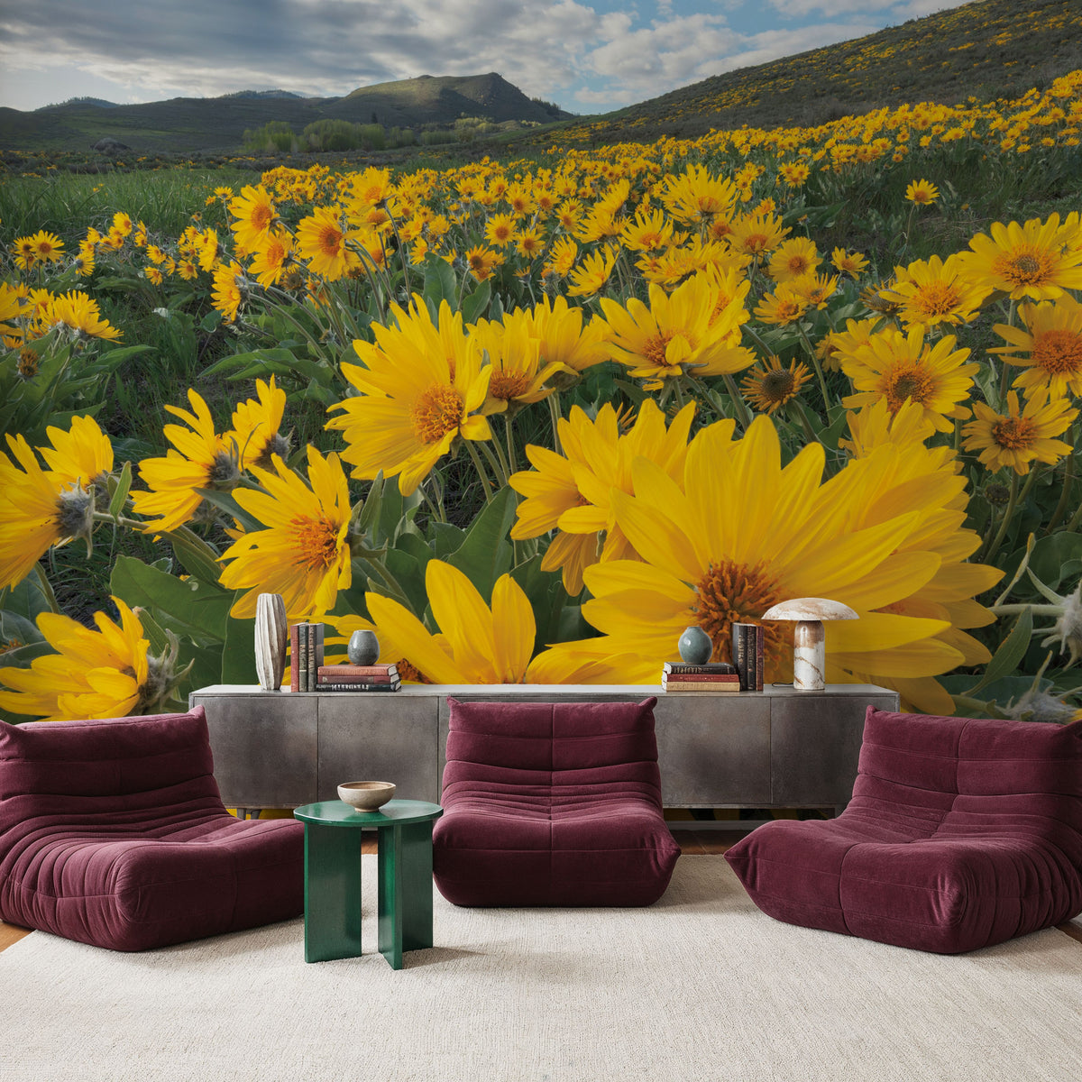 Methow Valley Wildflowers II Mural Wallpaper - room preview 04
