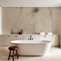 Caesar on Aged Paper Mural Wallpaper - room preview 04