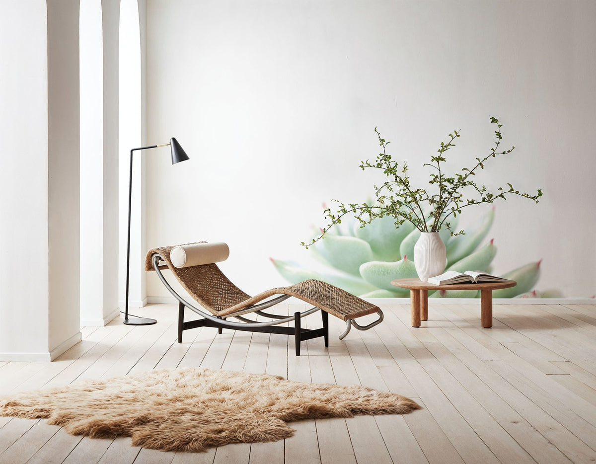 Desert Treasures II Mural Wallpaper - room preview 04