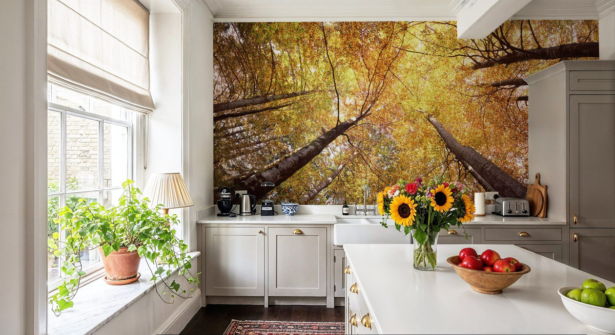 Autumn Canopy Glow Mural Wallpaper - room preview 04