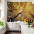 Autumn Canopy Glow Mural Wallpaper - room preview 04