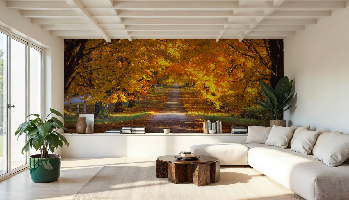 Golden Canopy Trail Mural Wallpaper - room preview 04