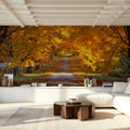 Golden Canopy Trail Mural Wallpaper - room preview 04