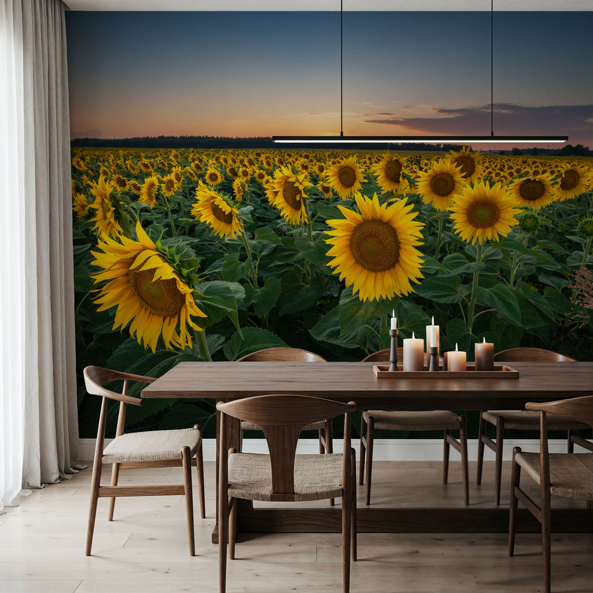 Proud Sunflower Field Mural Wallpaper - room preview 04