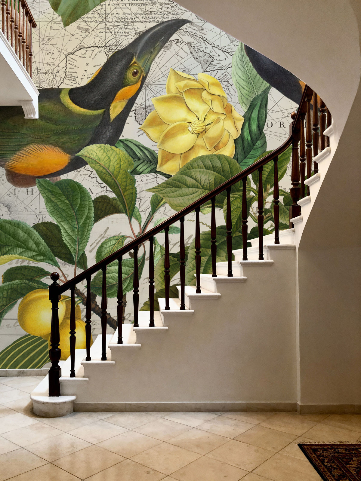 Parrots Nostalgic Journey II Mural Wallpaper - room preview 04