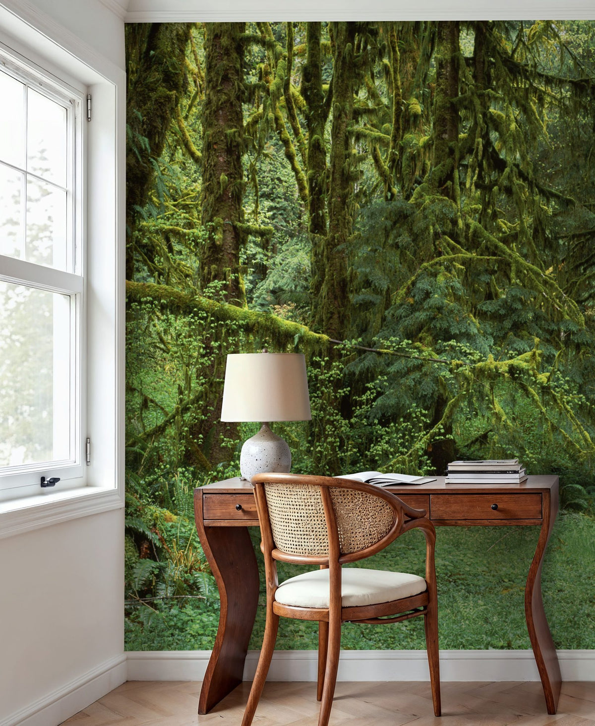 Hoh Rain Forest, Washington State Mural Wallpaper - room preview 04