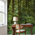 Hoh Rain Forest, Washington State Mural Wallpaper - room preview 04