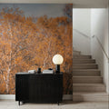 Amber Birch Woods Mural Wallpaper - room preview 04