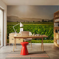 Golden Field Sunset Mural Wallpaper - room preview 04