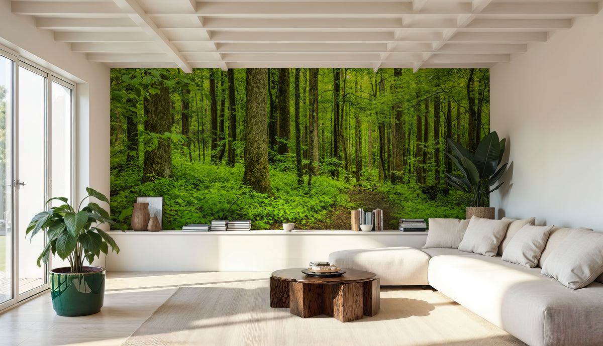 Emerald Woodland Path Mural Wallpaper - room preview 04