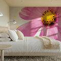 Wonderful Wildflowers XII Mural Wallpaper - room preview 04