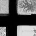 Factory Window, Graphite Mural Wallpaper - room preview 04