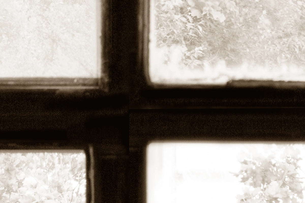 Factory Window, Sepia Mural Wallpaper - room preview 04