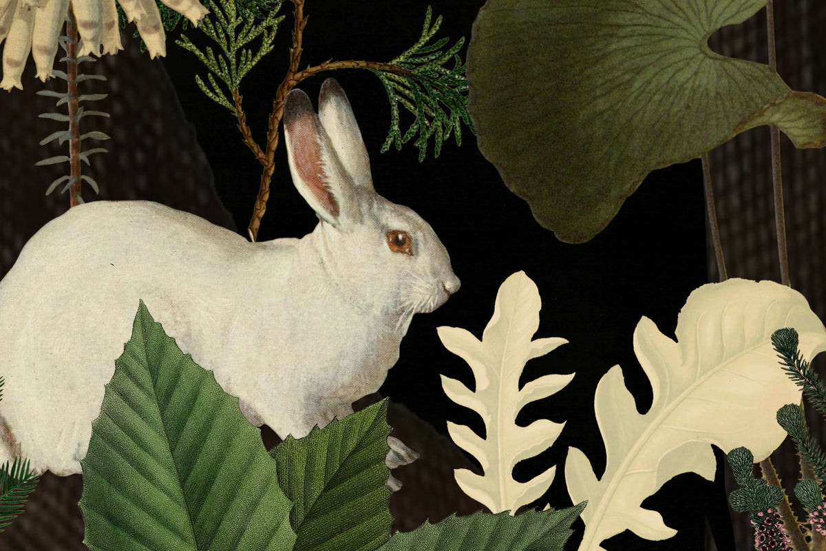 Rabbit Hole, Moss Mural Wallpaper - room preview 04
