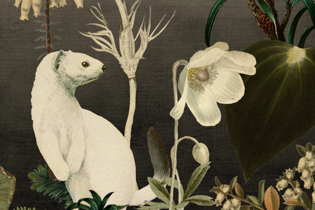 Rabbit Hole Mural Wallpaper - room preview 04