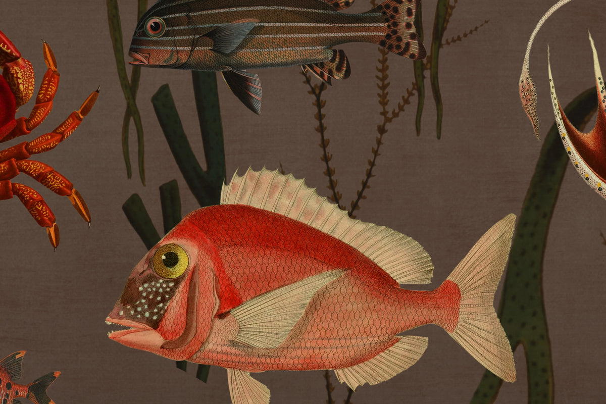 Aquatic Life, Coral Mural Wallpaper - room preview 04