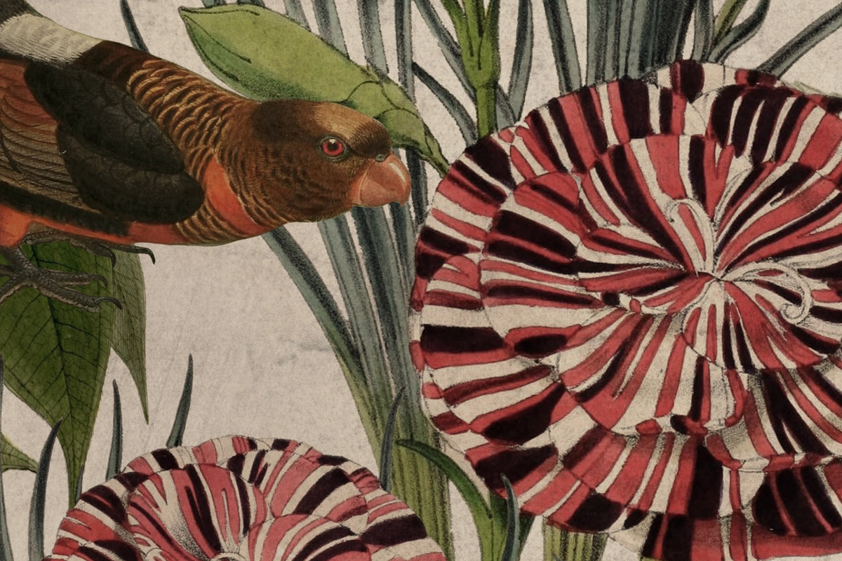 Vigor Mural Wallpaper - room preview 04