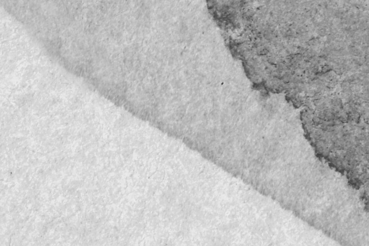Petals, Graphite Mural Wallpaper - room preview 04