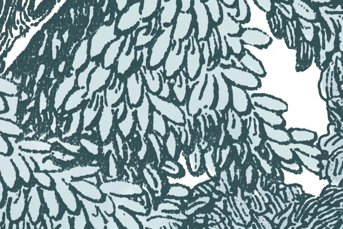 Bellewood, Teal Mural Wallpaper - room preview 04