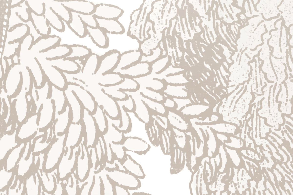 Bellewood, Sand Mural Wallpaper - room preview 04
