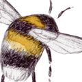 Bumblebee, White Mural Wallpaper - room preview 04