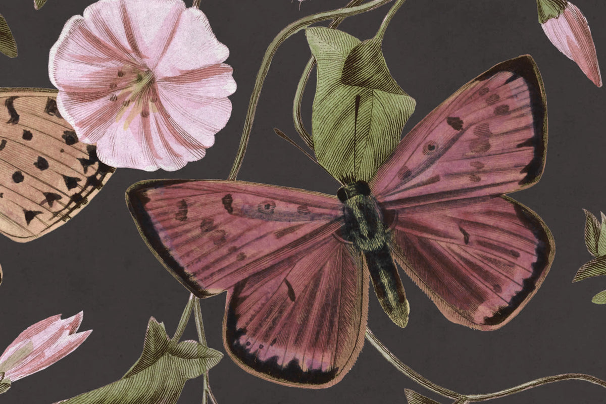 Butterflies, Midnight Mural Wallpaper - room preview 04