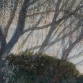 Umbrella Pines, Vintage Mural Wallpaper - room preview 04