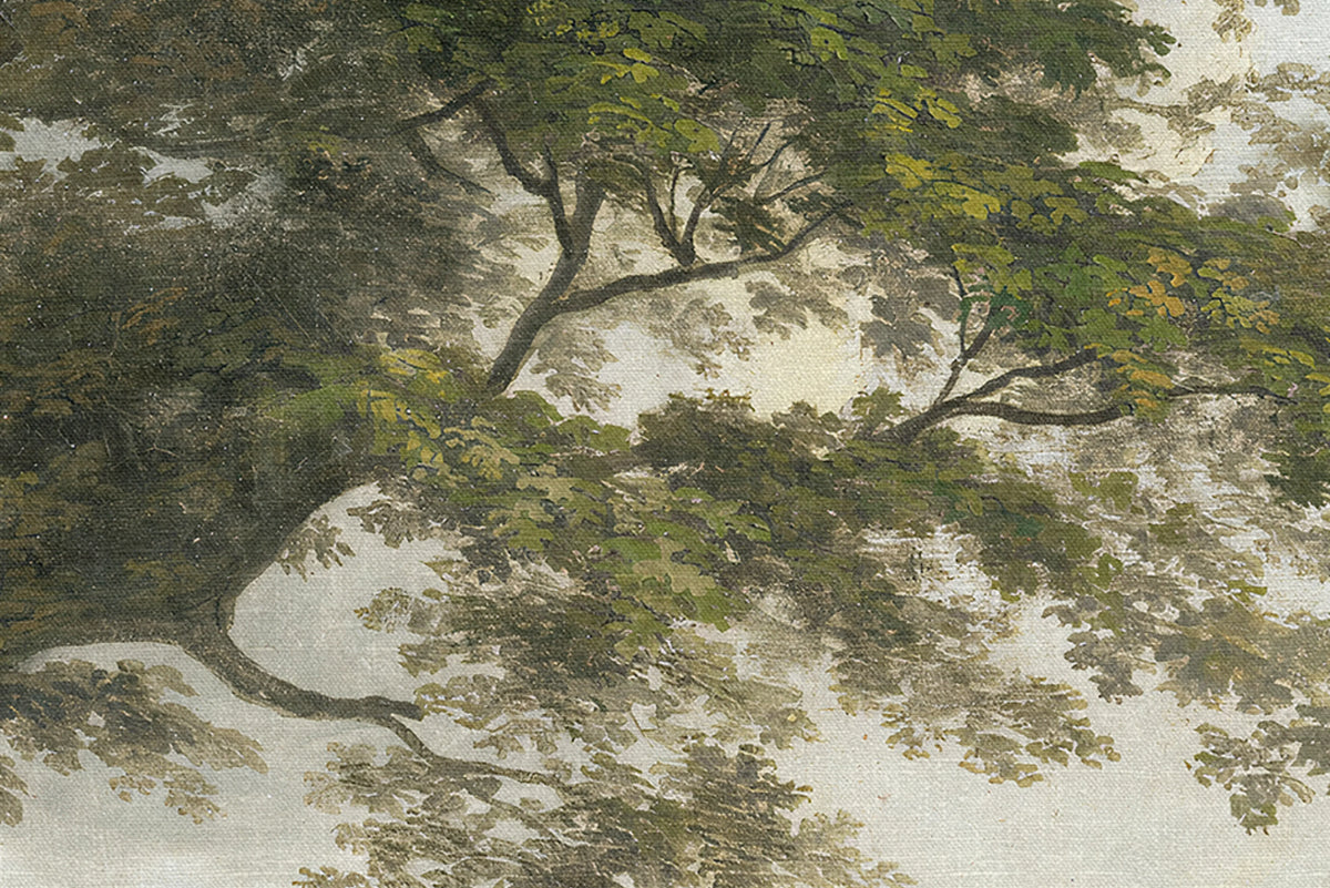 The Green Forest, Morning Mural Wallpaper - room preview 04