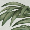 Jungle Horizon, Green Mural Wallpaper - room preview 04