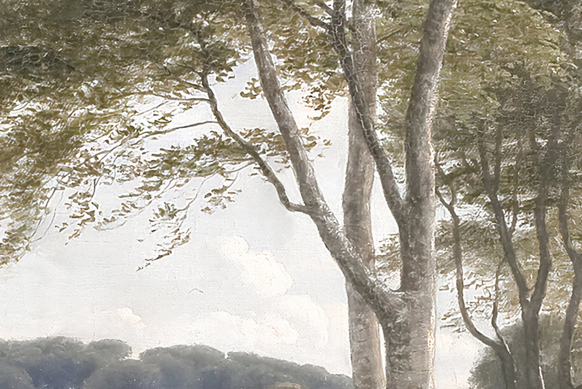 Danish Forest, Morning Mural Wallpaper - room preview 04