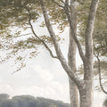 Danish Forest, Morning Mural Wallpaper - room preview 04
