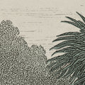 Jungle Forest, Dark Mural Wallpaper - room preview 04
