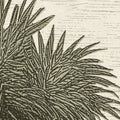 Jungle Forest, Green Mural Wallpaper - room preview 04