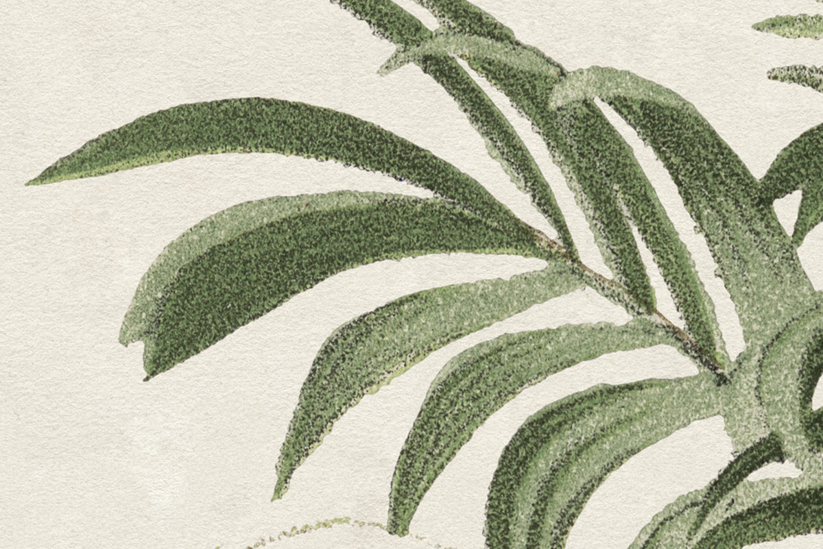 Retro Jungle, Green Mural Wallpaper - room preview 04