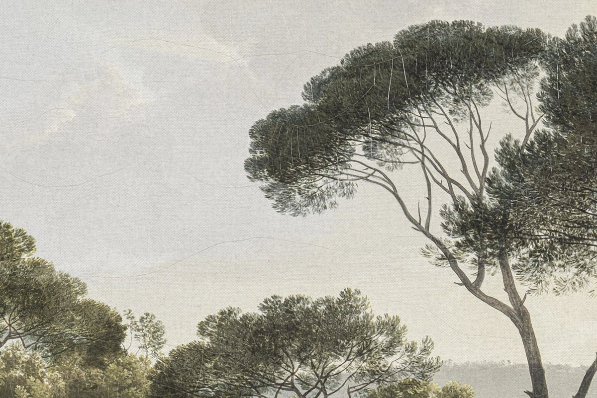 Pine Wood, Green Mural Wallpaper - room preview 04