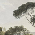 Pine Wood, Green Mural Wallpaper - room preview 04
