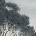 Pine Wood, Blue Mural Wallpaper - room preview 04