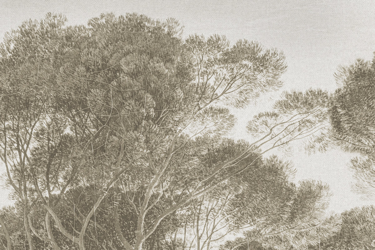 Pine Wood, Vintage Mural Wallpaper - room preview 04