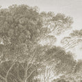 Pine Wood, Vintage Mural Wallpaper - room preview 04