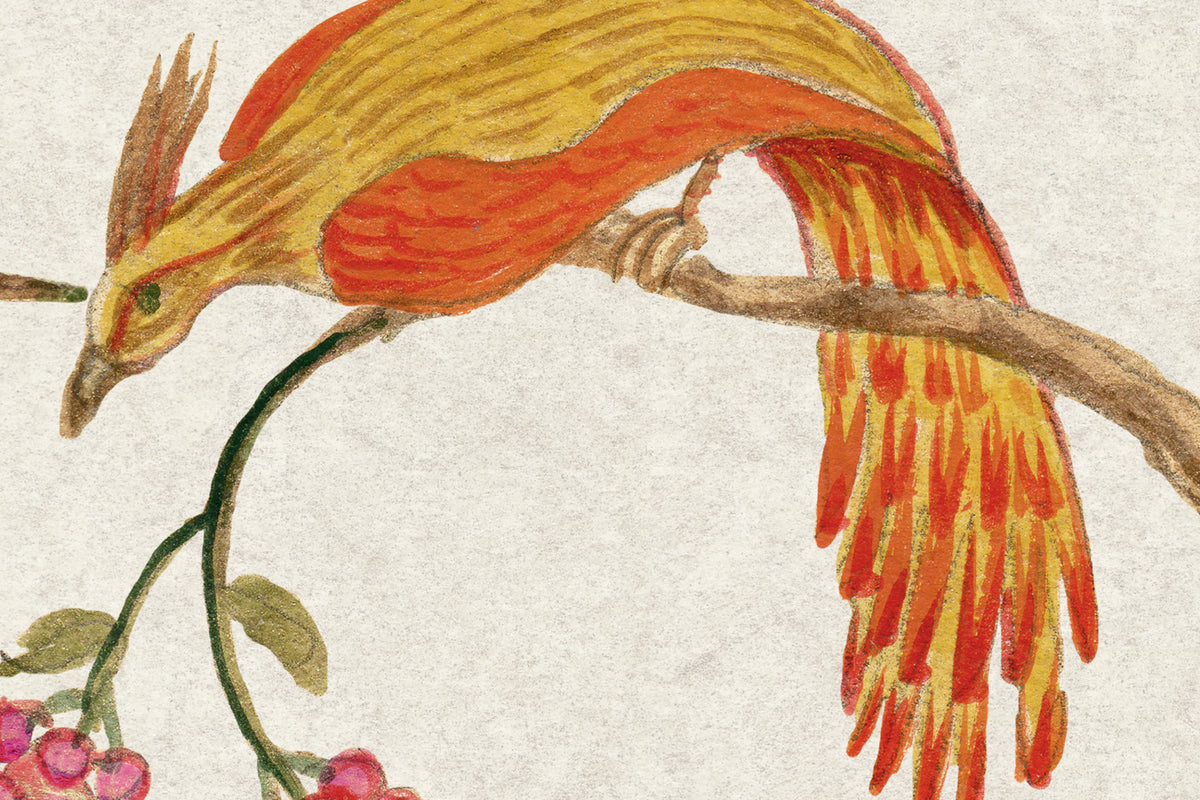 Songbirds, Pearl Mural Wallpaper - room preview 04