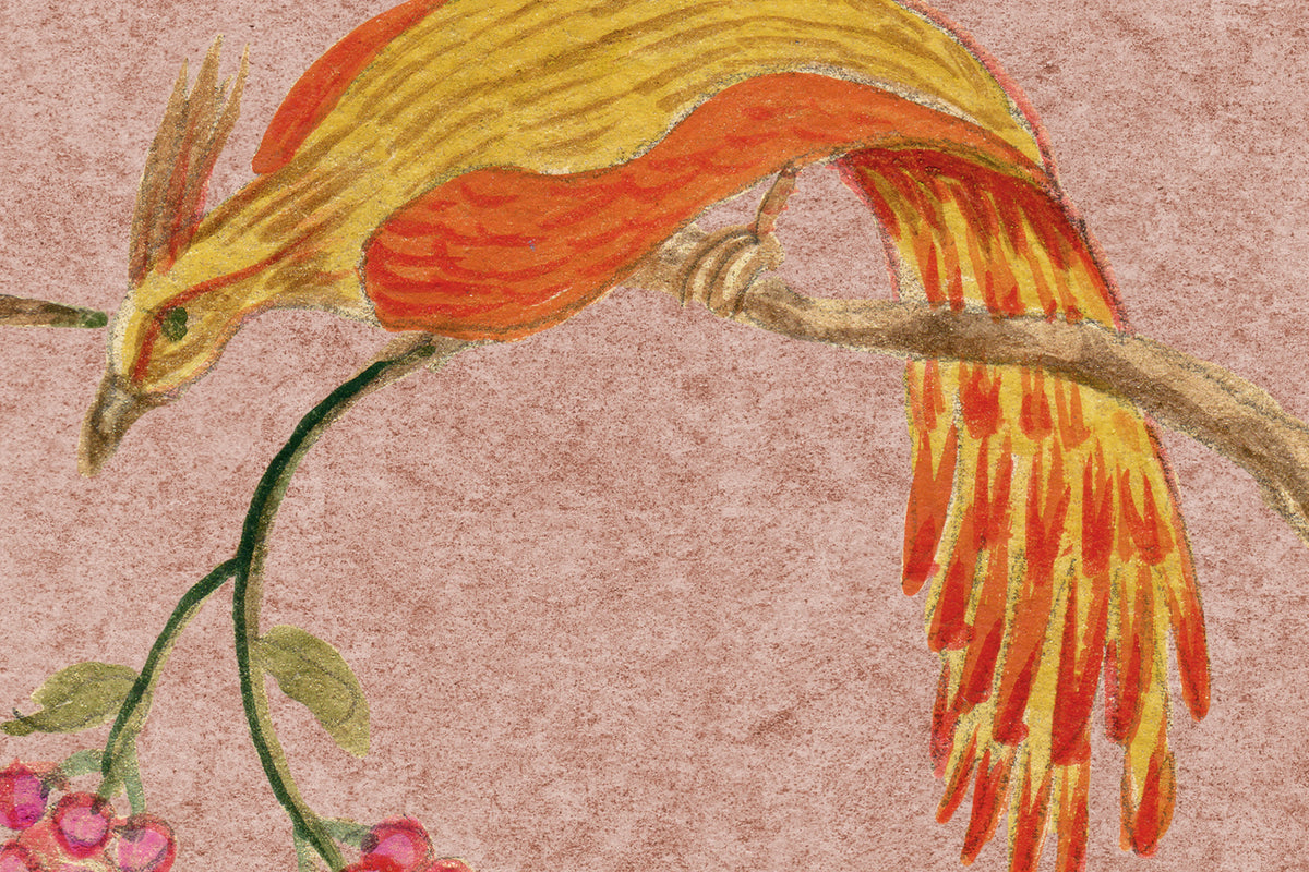Songbirds, Pink Mural Wallpaper - room preview 04