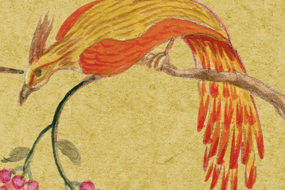 Songbirds, Saffron Mural Wallpaper - room preview 04