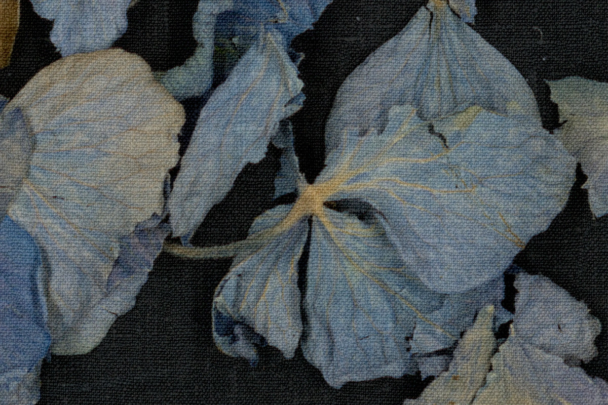 Fragile Beauty, Dark Blue Mural Wallpaper - room preview 04