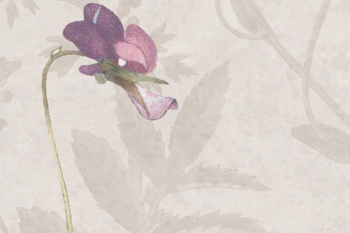 Stormy Meadow, Sand Mural Wallpaper - room preview 04