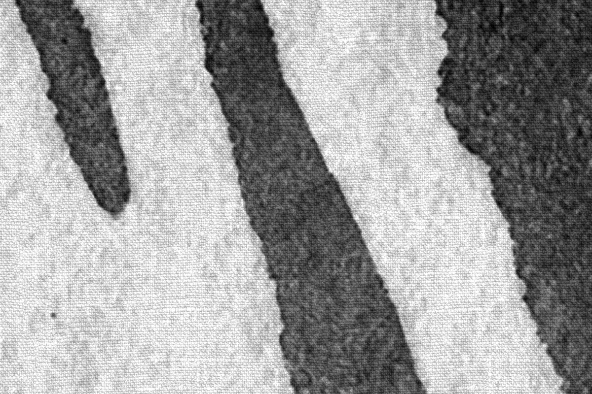 Zebra Stripes, Graphite Mural Wallpaper - room preview 04