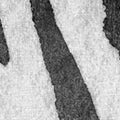 Zebra Stripes, Graphite Mural Wallpaper - room preview 04